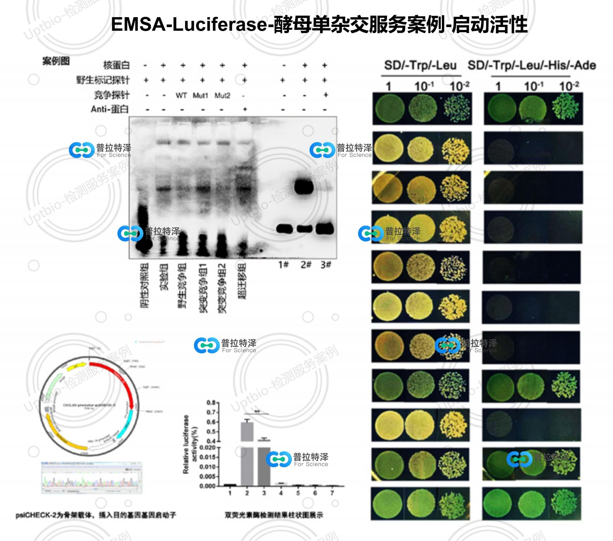 EMSA檢測